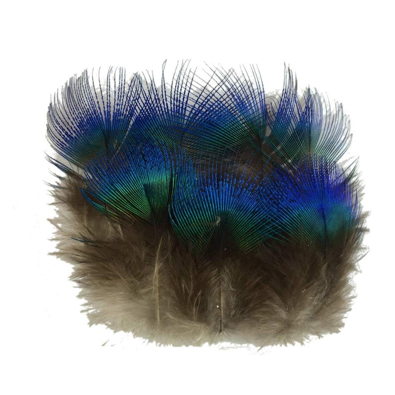Sowder 50pcs Blue Peacock Plumage Feathers 1-3 Inches Home Wedding Decoration - Image 1